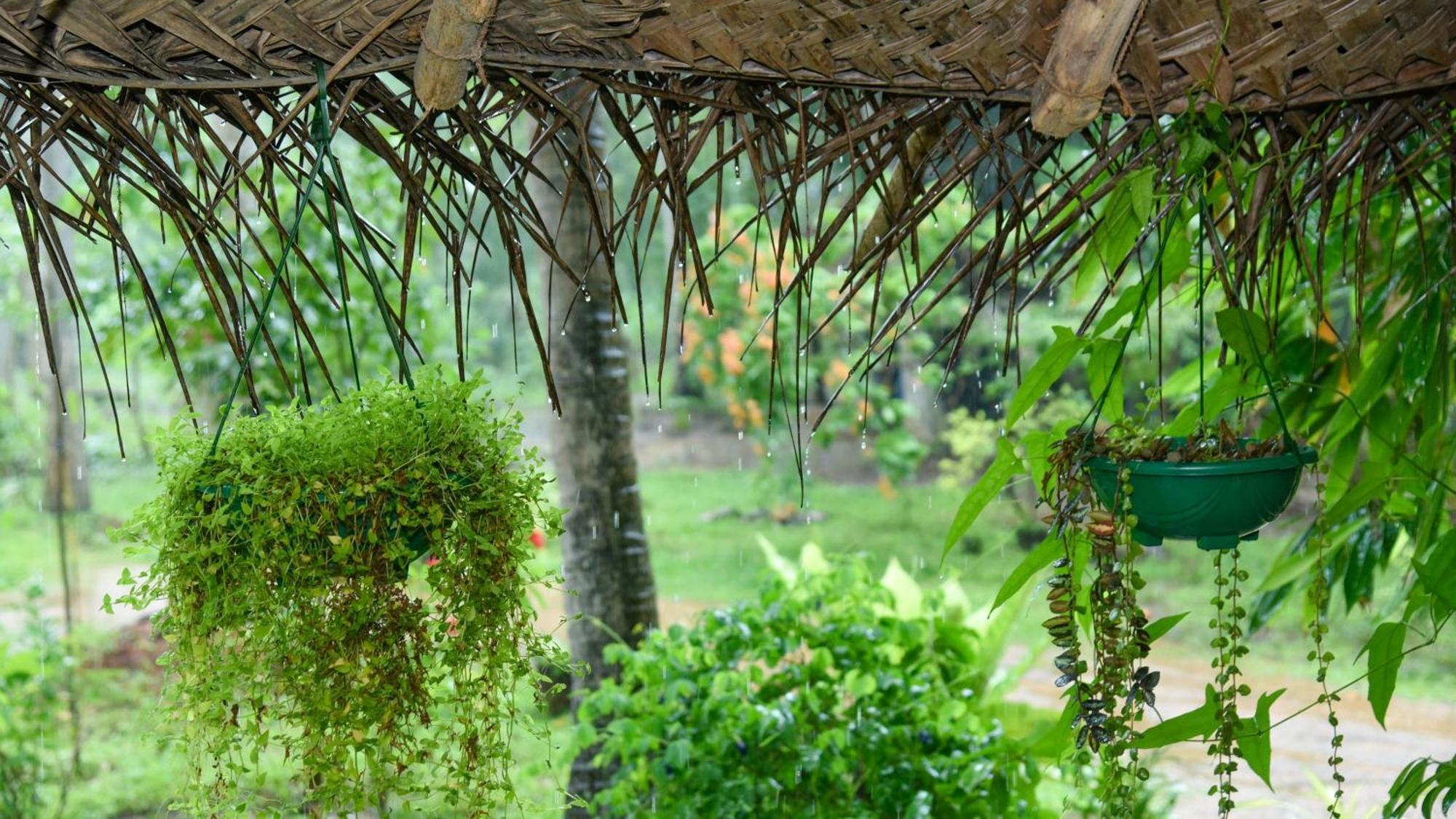 Prem Nadee Homestay Dambulla Exterior photo